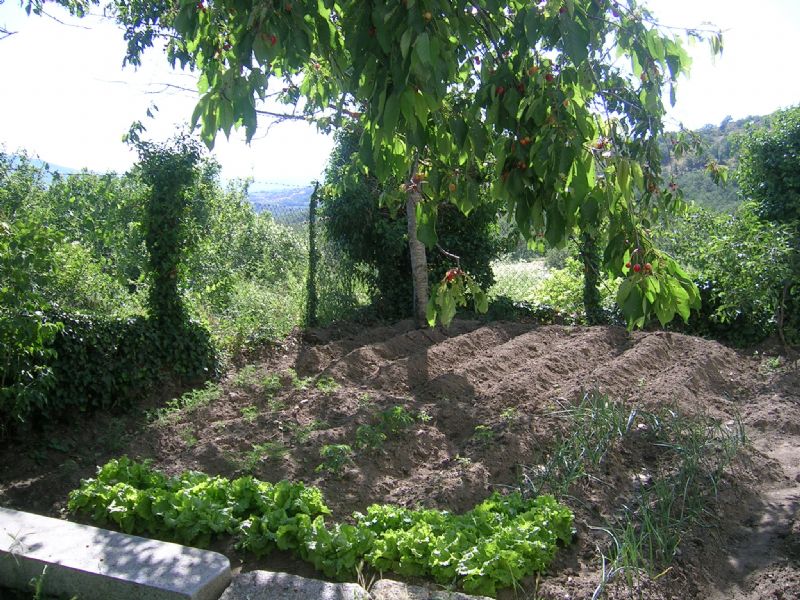Casa Rural 
