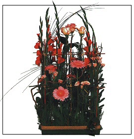 Centros de flores para mesas
Florister�a Natura Jard�n
Comercios / Florister�as
Servicio Interflora en B�jar (Salamanca)
